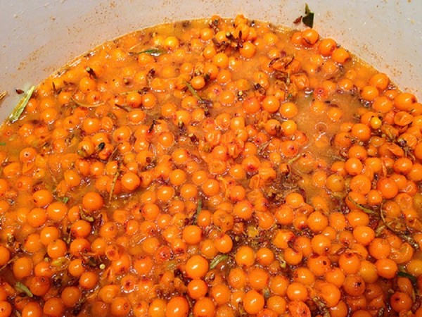 Morska buckthorn za zimu, najbolji recepti: sa šećerom, bez kuhanja, s medom, žele