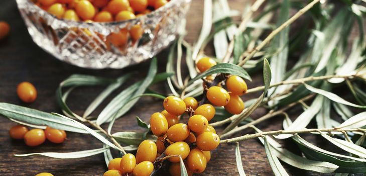 Recept za pekmez od morske buckthorn