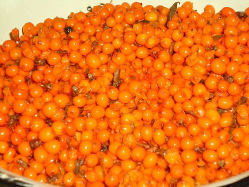 Pasteurizirani pekmez od morske buckthorn