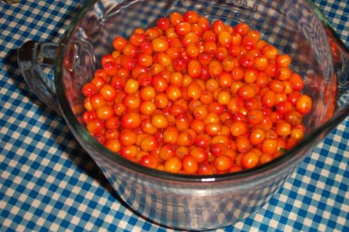 Pasteurizirani pekmez od morske buckthorn