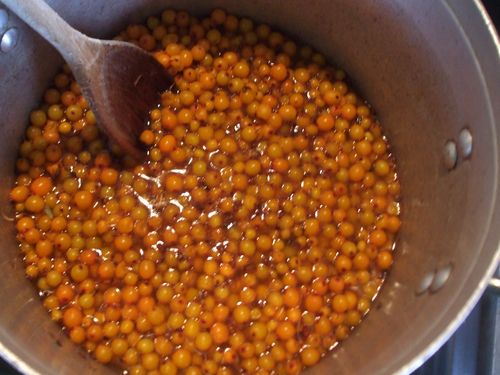 Pasteurizirani pekmez od morske buckthorn