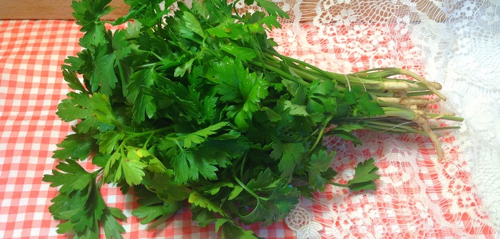 Recept za svježi peršin za zimu