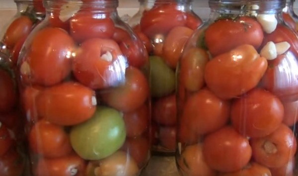 Rajčice s češnjaka za zimu, recepti. Žetve rajčice češnjakom za zimu: recept za brzo kuhanje, bez sterilizacije, slane bez kupanja
