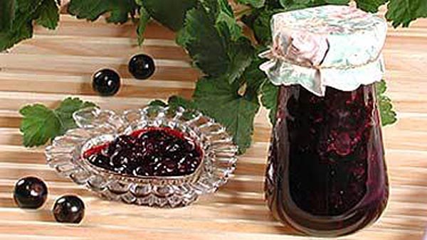 Ribizle sa šećerom za zimu bez kuhanja, Pyatiminutka, smrznuto. Rafenica recept, zimzelena od šećera (bez hladnjaka)