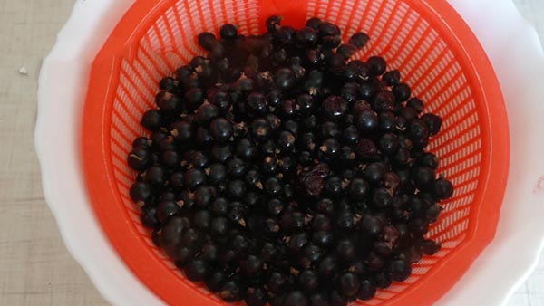 Ribizle sa šećerom za zimu bez kuhanja, Pyatiminutka, smrznuto. Rafenica recept, zimzelena od šećera (bez hladnjaka)