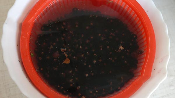 Ribizle sa šećerom za zimu bez kuhanja, Pyatiminutka, smrznuto. Rafenica recept, zimzelena od šećera (bez hladnjaka)