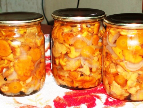 Slanog kantena
