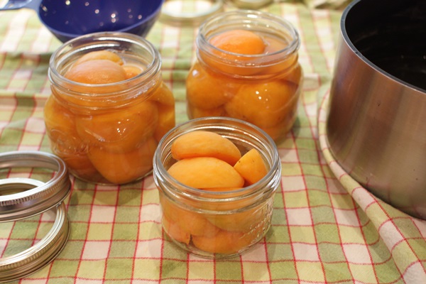 Marelica jam - kraljevski recept
