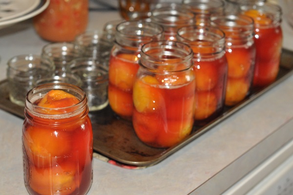 Marelica jam - kraljevski recept