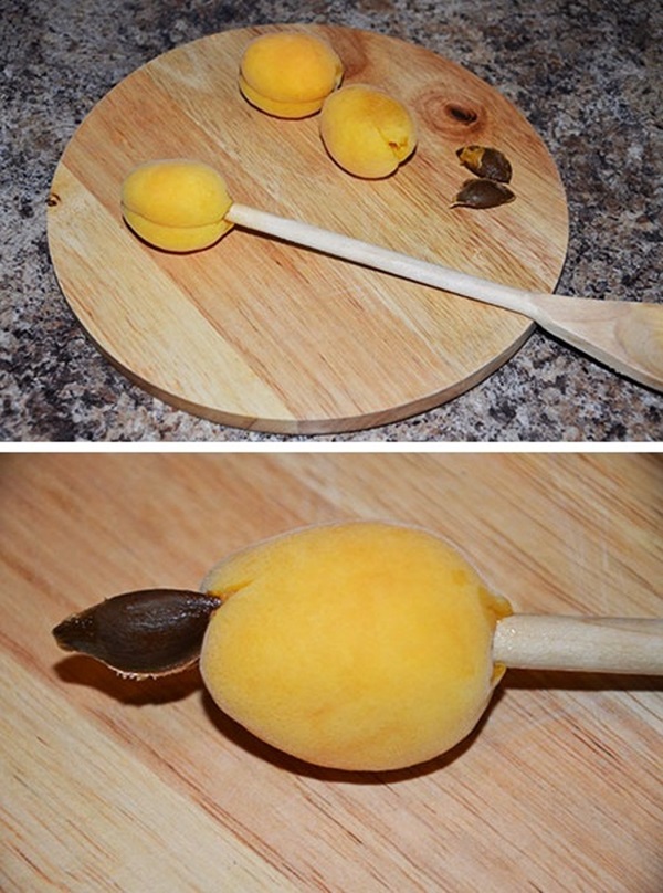 Marelica jam - kraljevski recept