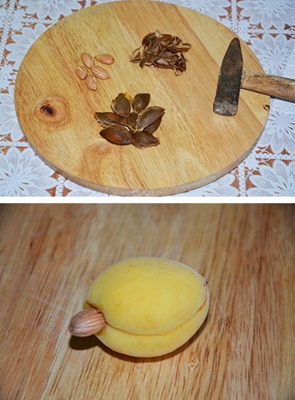 Marelica jam - kraljevski recept