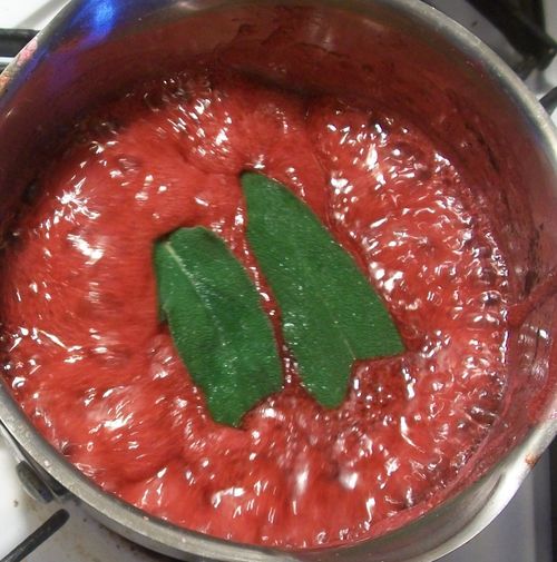 Jelly od crvenog ribizla