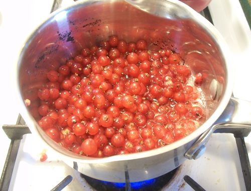 Jelly od crvenog ribizla