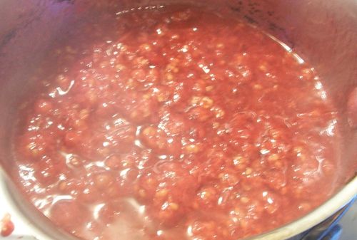 Jelly od crvenog ribizla