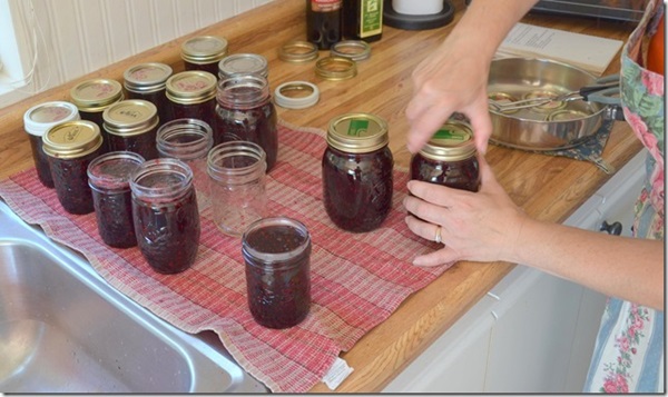 Jam iz crne jabuke