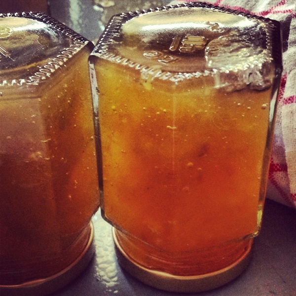 Jam iz dinje i dinje za zimu - jednostavne recepte