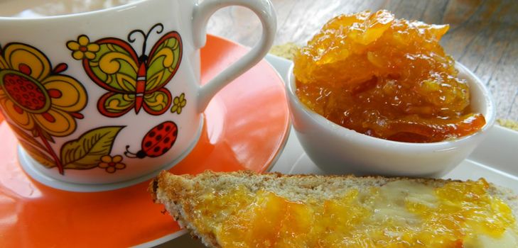 Recept za džem od ogrozd