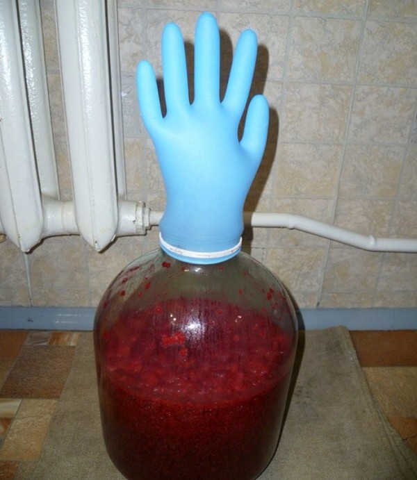 Vino od malina kod kuće - jednostavni recepti