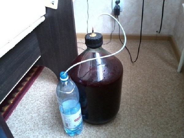 Vino od ribe u kući - crno, bijelo, crveno, bez kvasca i s njima. Jednostavni i tradicionalni recepti kuharskog vina boje ribizla