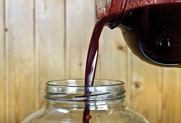 Vino od ribe u kući - crno, bijelo, crveno, bez kvasca i s njima. Jednostavni i tradicionalni recepti kuharskog vina boje ribizla