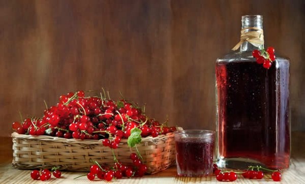 Vino od ribe u kući - crno, bijelo, crveno, bez kvasca i s njima. Jednostavni i tradicionalni recepti kuharskog vina boje ribizla Vino od ribe u kući - crno, bijelo, crveno, bez kvasca i s njima. Jednostavni i tradicionalni recepti kuharskog vina boje ribizla