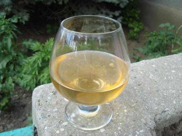 Vino od ribe u kući - crno, bijelo, crveno, bez kvasca i s njima. Jednostavni i tradicionalni recepti kuharskog vina boje ribizla Vino od ribe u kući - crno, bijelo, crveno, bez kvasca i s njima. Jednostavni i tradicionalni recepti kuharskog vina boje ribizla