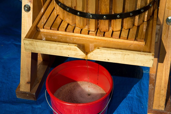 Domaće vino iz jabuka