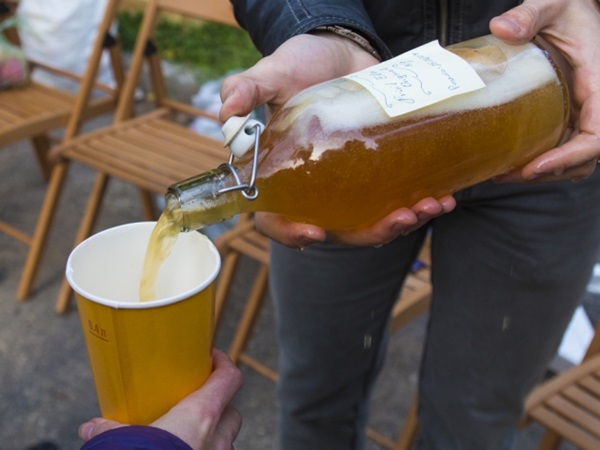 Domaće vino iz jabuka