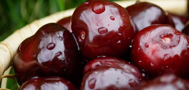 Trešnja za zimu - recepti - pekmez sa sjemenkama i pita, Pet minuta, džem, žele bez želatine, komadić trešnje Trešnja za zimu - recepti - pekmez sa sjemenkama i pita, Pet minuta, džem, žele bez želatine, komadić trešnje