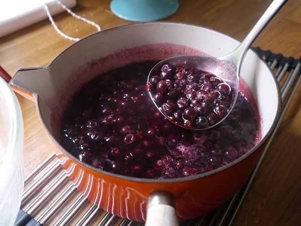 Ukusna jela od crnog ribiza - recepti