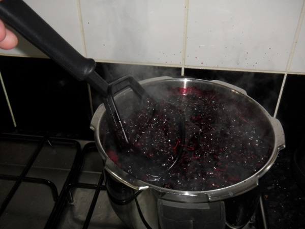 Ukusna jela od crnog ribiza - recepti