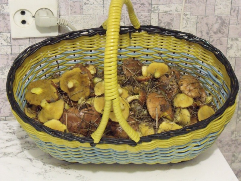 Masna udubina