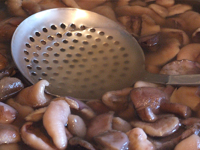 Masna udubina