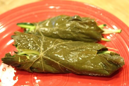 Recept za berbu listova grožđa za dolmu Kako sjeckati lišće vinove loze za dolmu