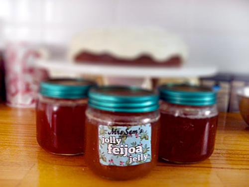 Jelly od feijoa za zimu, recept s fotografijom