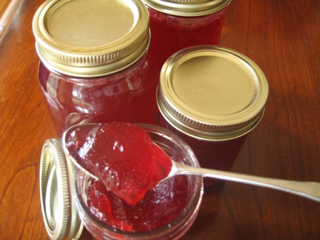 Jelly od maline za zimu