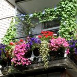 Kako ukrasiti balkon Kako ukrasiti balkon