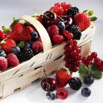 Berry svojstva Berry svojstva