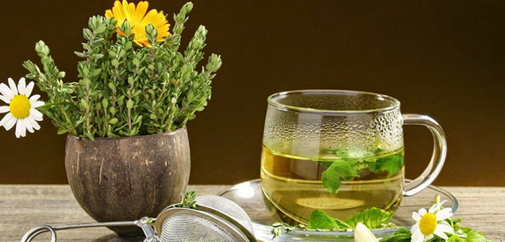 Phytoalchemia: bilje za ljepotu i zdravlje