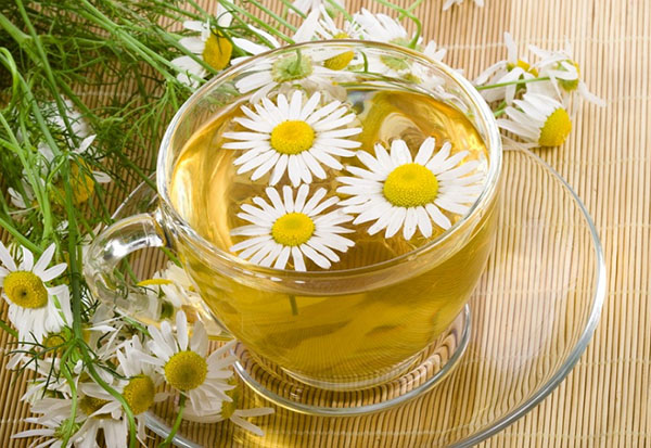 Phytoalchemia: bilje za ljepotu i zdravlje