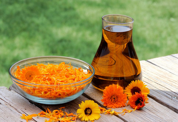 Phytoalchemia: bilje za ljepotu i zdravlje