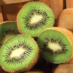 Kiwi dijeta za mršavljenje Kiwi dijeta za mršavljenje