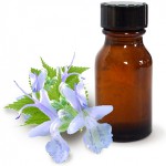 Patchouli ulje i njegova korisna svojstva Patchouli ulje i njegova korisna svojstva