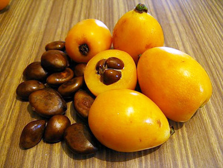 Korisna svojstva medlar, primjena u medicini