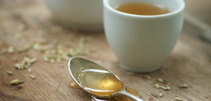 Motherwort u trudnoći