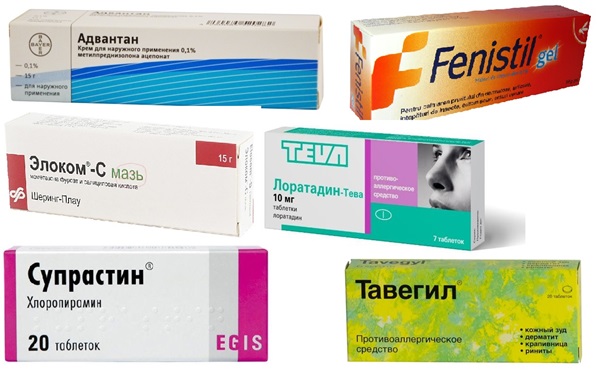 Uši insekata